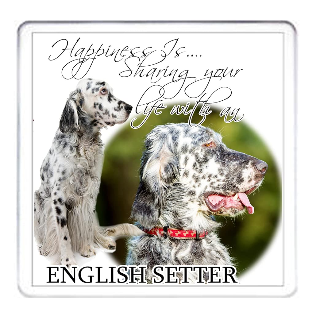 Kazmugz English Setter Dog Gift Coaster. Happiness Is Sharing Your Life With An English Setter. Acrylic Coaster Mug Mat.