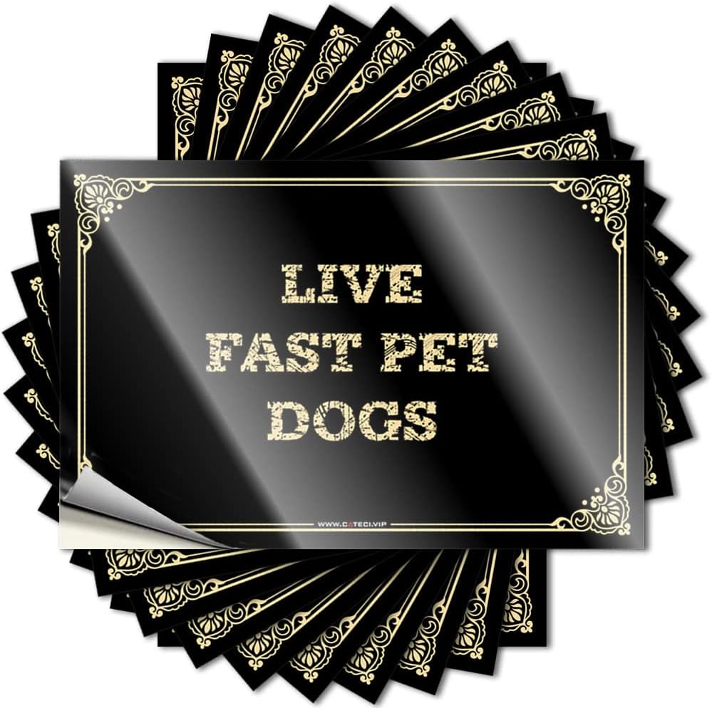 Funny Sticker Live Fast Pet Dogs Stickers Funny Home Sign Tool Box Stickers(6X9CM)