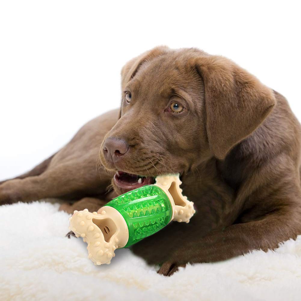 Petlicious & More 5.6" Durable Squeaky Bone-Shaped Puppy Toy, Rubber Dental Chew Toy for Small and Medium Dog Puppy (Color May Vary, Pack of One) (B08D6WJMZG) Amazon Price History, Amazon Price Tracker