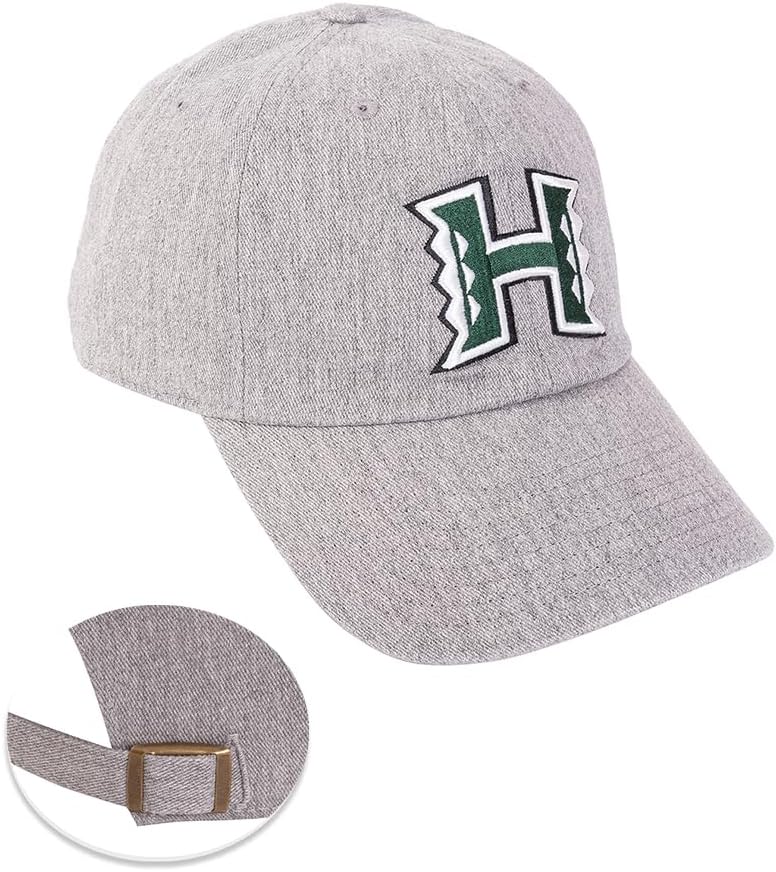 Desert Cactus University of Hawaii Baseball Hat Rainbow Warriors UH Brimmed Embroidered Hats Cap Adjustable Cloth Strap Adult