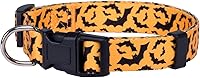 Vista 22 de Native Pup Collar de Perro de Halloween - Collares de Disfraz de Terror con Temática Espeluznante de Otoño - Calavera, Calabaza, Fantasma