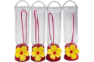 Single Hummingbird Feeder: An Oasis for Backyard Bird Lovers