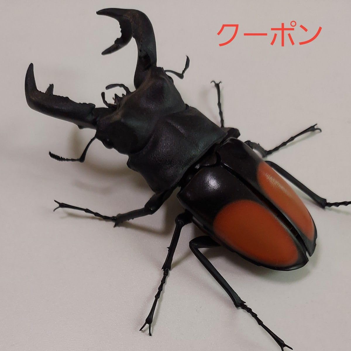 Amazon.co.jp: パリーフタマタクワガタ いきもの大図鑑くわがた06