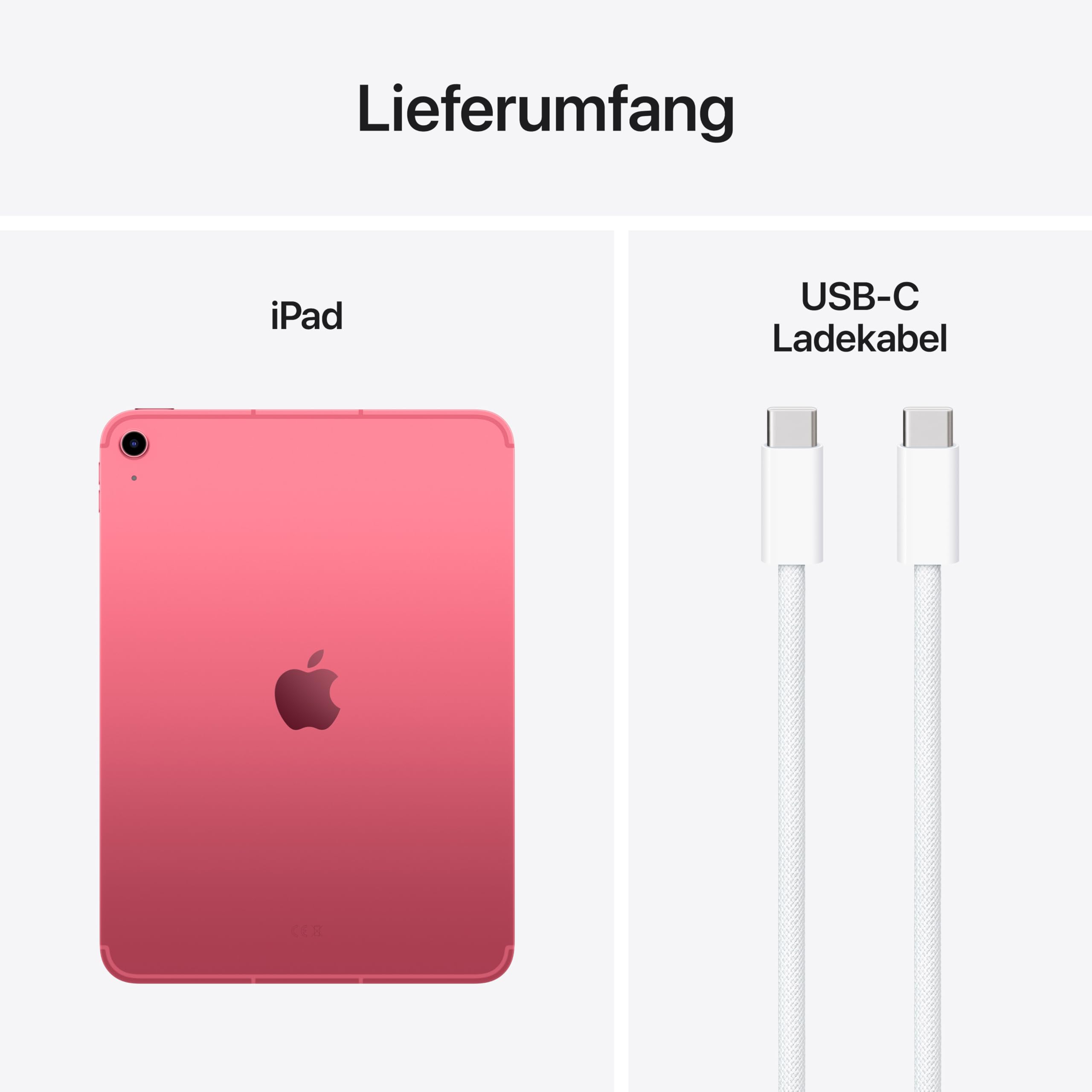 Apple iPad 11 Wi-Fi + CellularB Pink - (A16) 256 G – Bild 6