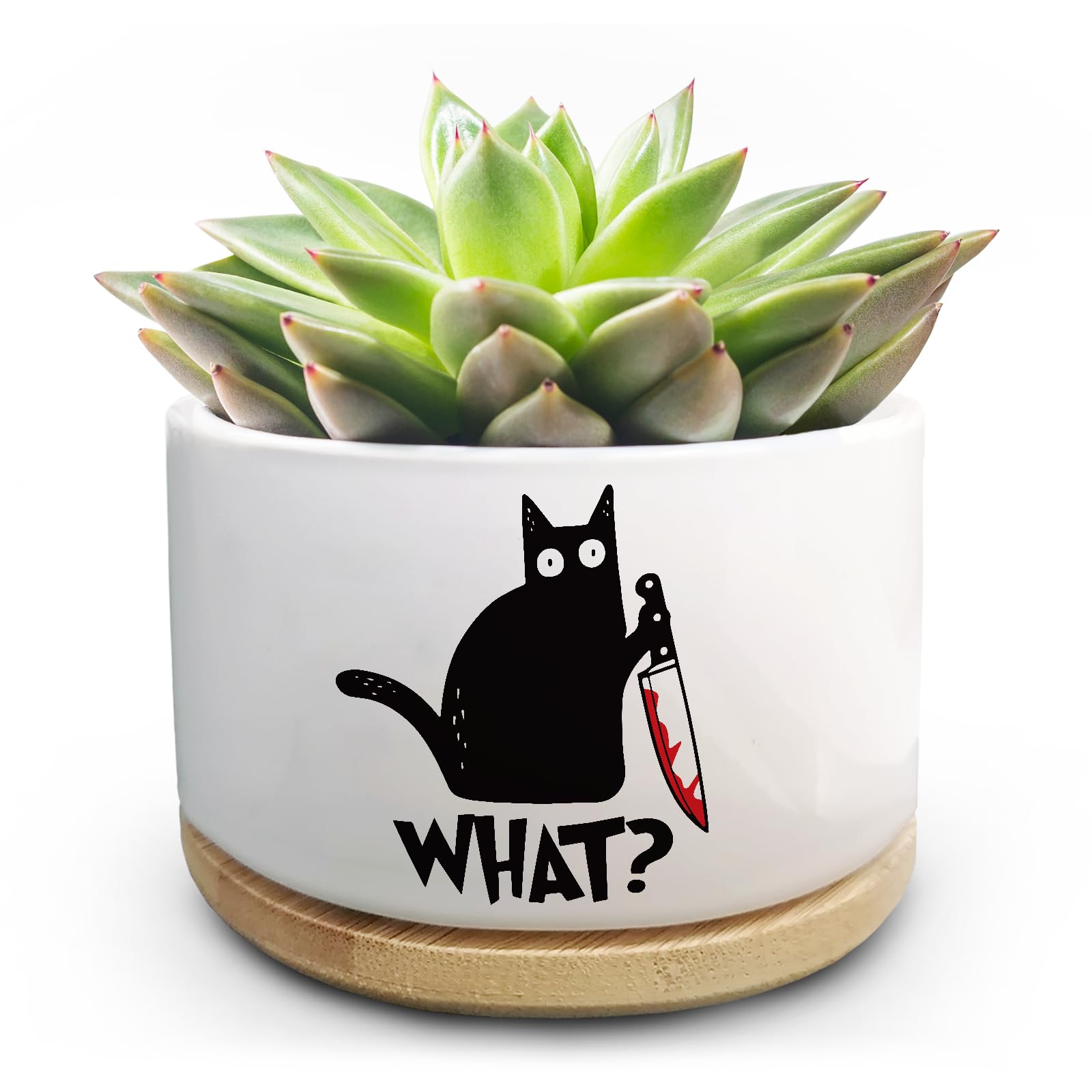 Amazon.com: Jutasty Funny Black Cat Plant Pot for Succulent, Cactus Flower  Planter for Indoor Plants, Unique Succulents Pots with Drainage, Cats Owner  Gifts, Home Desk Decor Planter Gift for Cat Lover (No