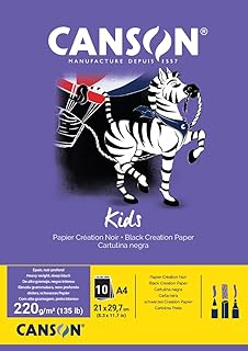 Canson 400015602 hobi, renkli kağıt, A4, Siyah