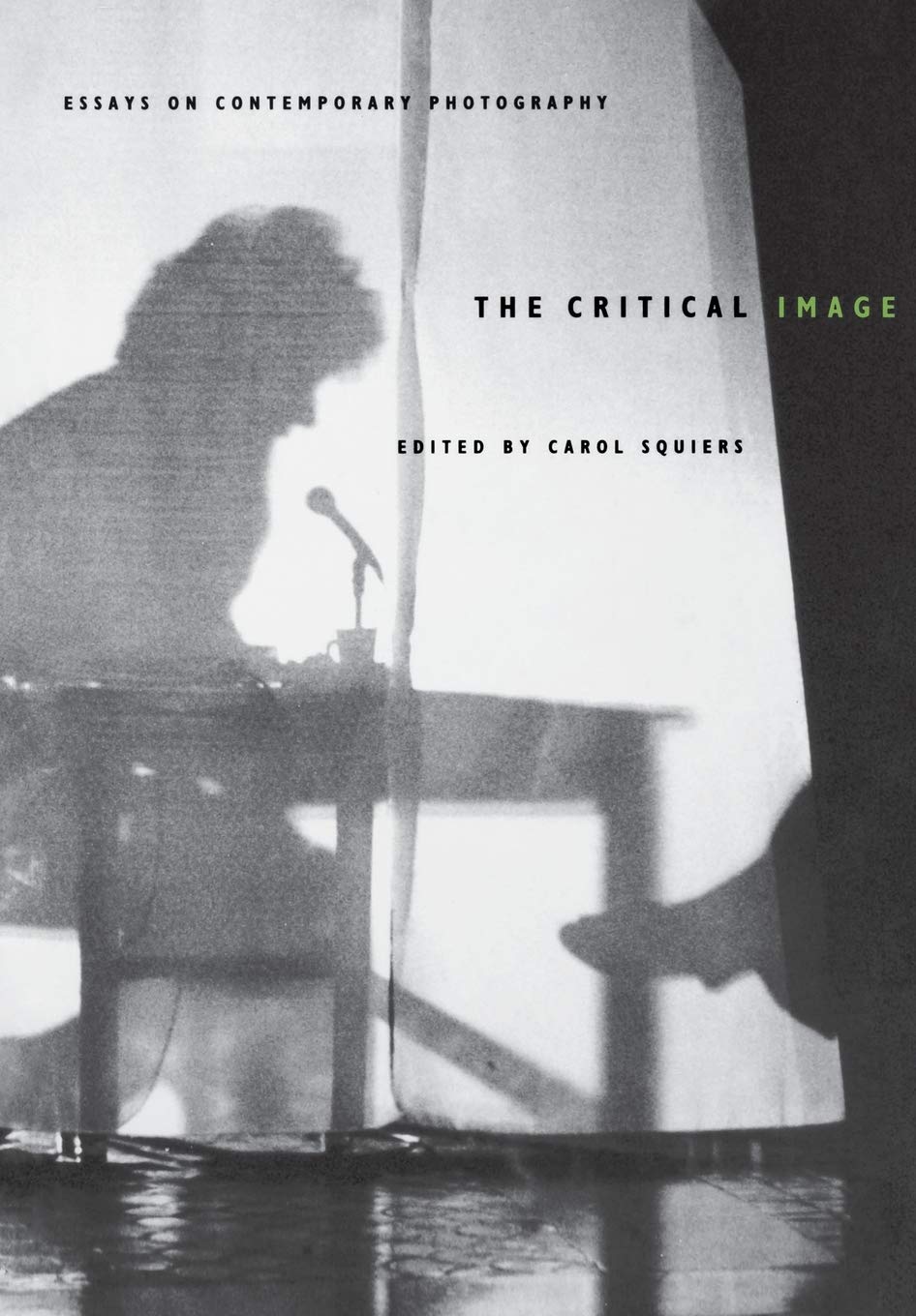The Critical Image: Essays on Contemporary Photography