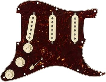 Amazon | Fender フェンダー ◇ Pre-Wired Strat Pickguard, Tex
