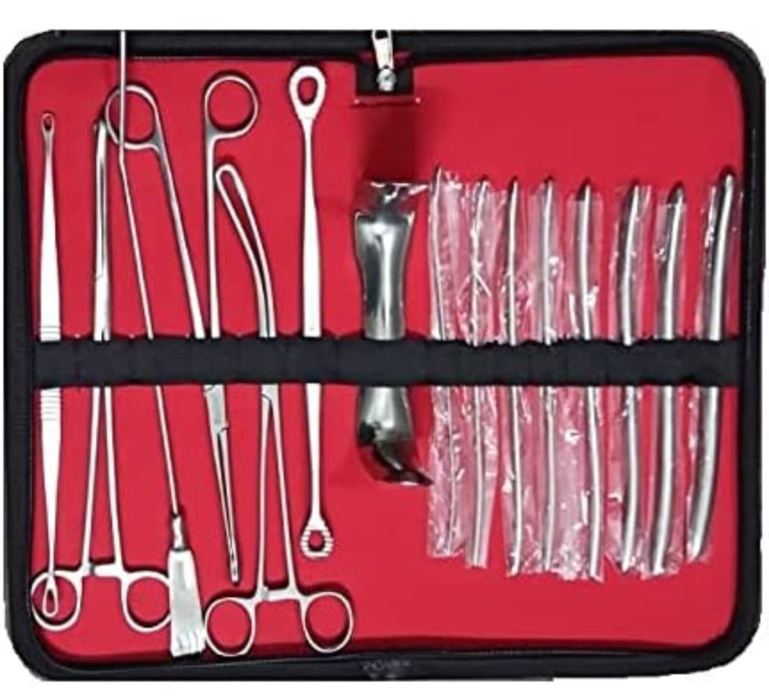 Flowmex Stainless Steel DNC set & D&C instruments (B0BRH69Z4L) Amazon Price History, Amazon Price Tracker