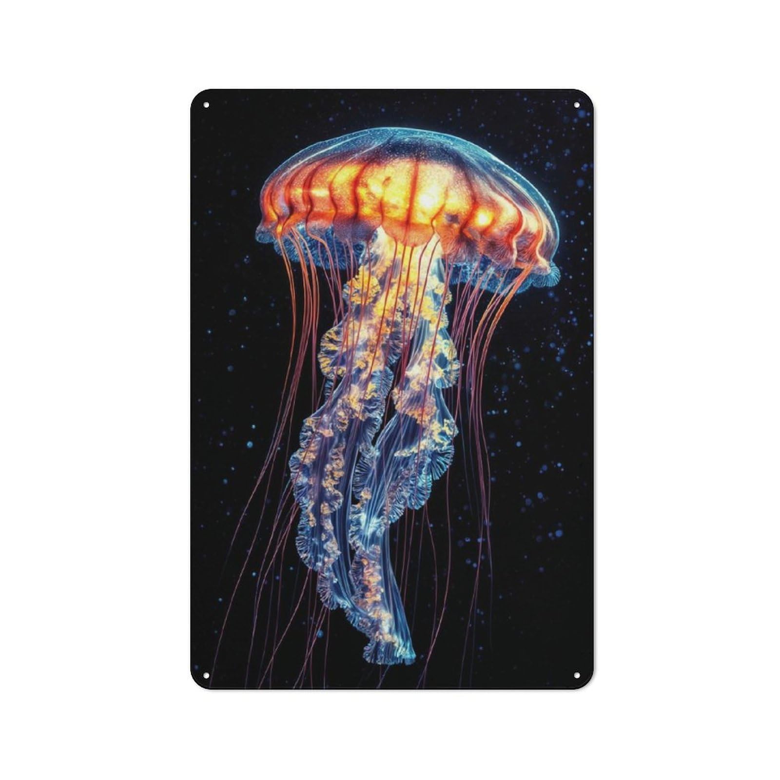 Rainbow Jellyfish Poster Retro Tin Sign 30x20cm for Pub Or Café, for Collectors Building A Themed Wall Display