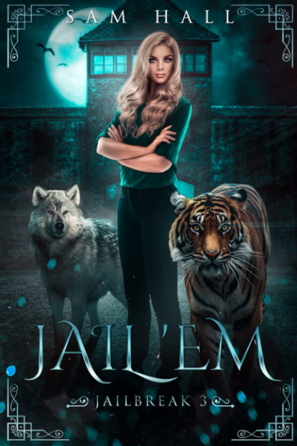 Cover of Jail 'Em