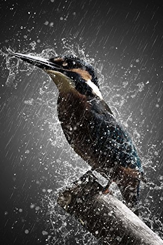 Preisvergleich Produktbild Rain Bird Notebook