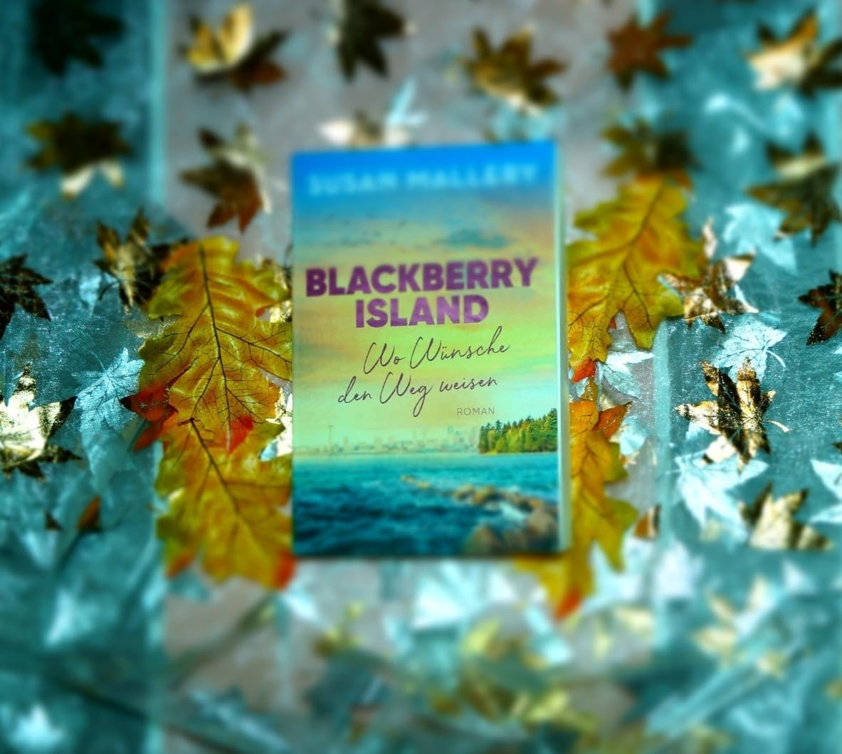 Blackberry Island Wo Wünsche den Weg weisen Roman Ein warmherziger