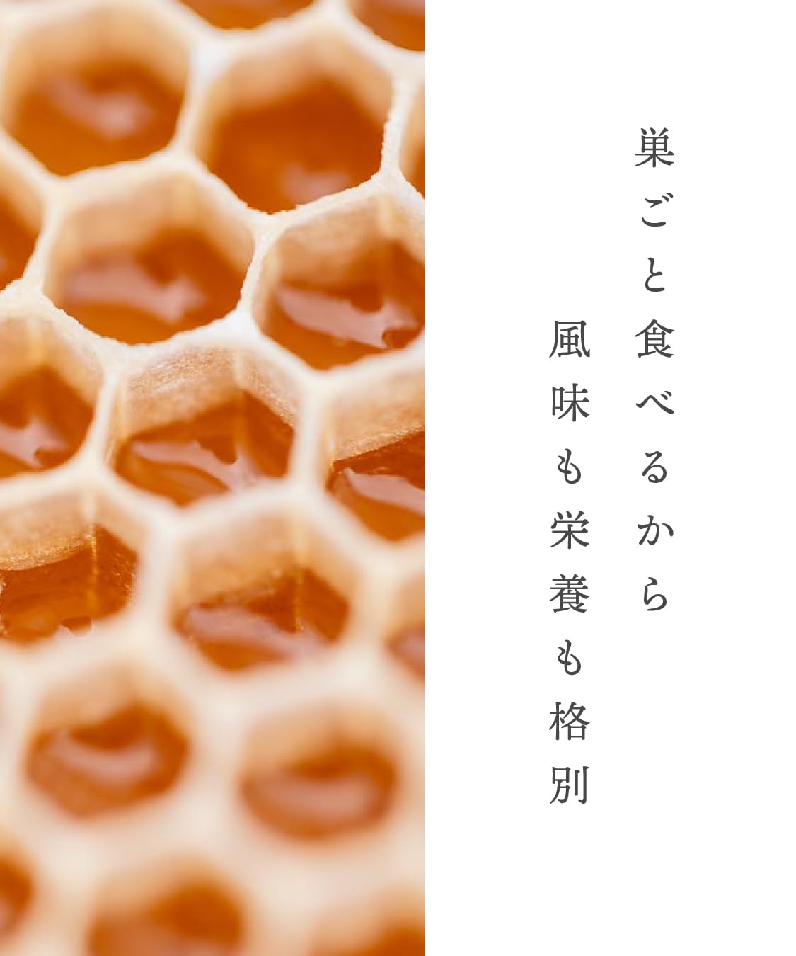 Amazon | HONEY MOTHER（ハニーマザー）コムハニー 巣蜜 340g