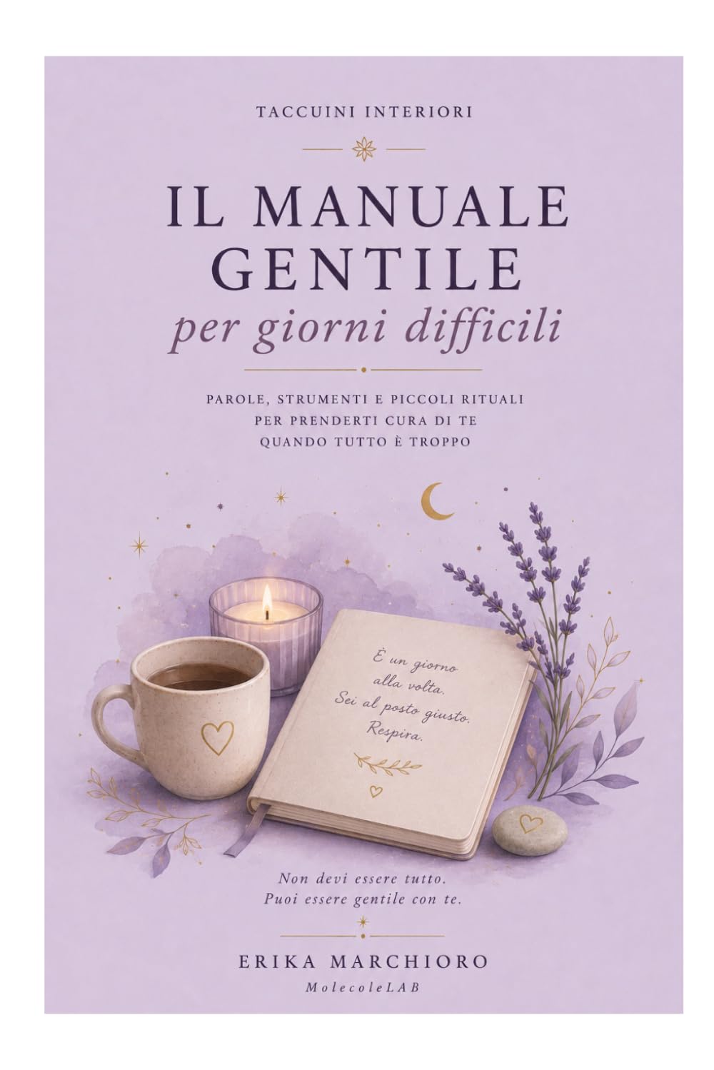 IL MANUALE GENTILE PER GIORNI DIFFICILI: Parole, strumenti e piccoli rituali per prenderti cura di te quando tutto è troppo (TACCUINI INTERIORI)