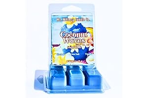 Coconut Waves Snow Cone Scented Wax Melt