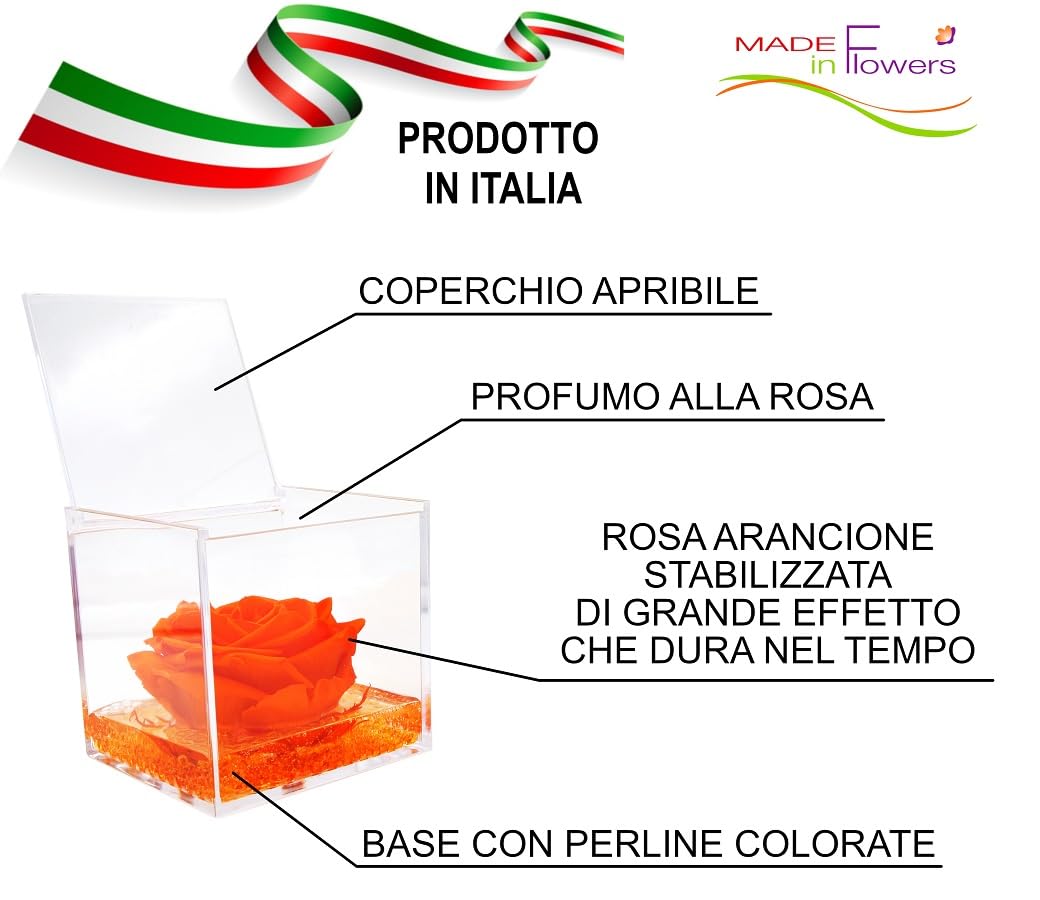 Texo di Claudio Rosso Rosa Vera Arancione Stabilizzata Profumata 8x8 Idea Regalo Fidanzata Moglie
