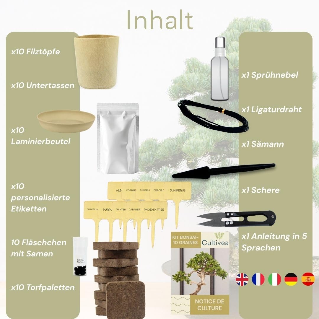 CULTIVEA® Bonsai Anzuchtset – 10 Bäume zum Selbst Anpflanzen – Komplettes Bonsai Starter Kit mit Samen, Töpfen & Werkzeug – Bonsai Anzucht Set für Anfänger – Geschenkidee für Gartenfreunde