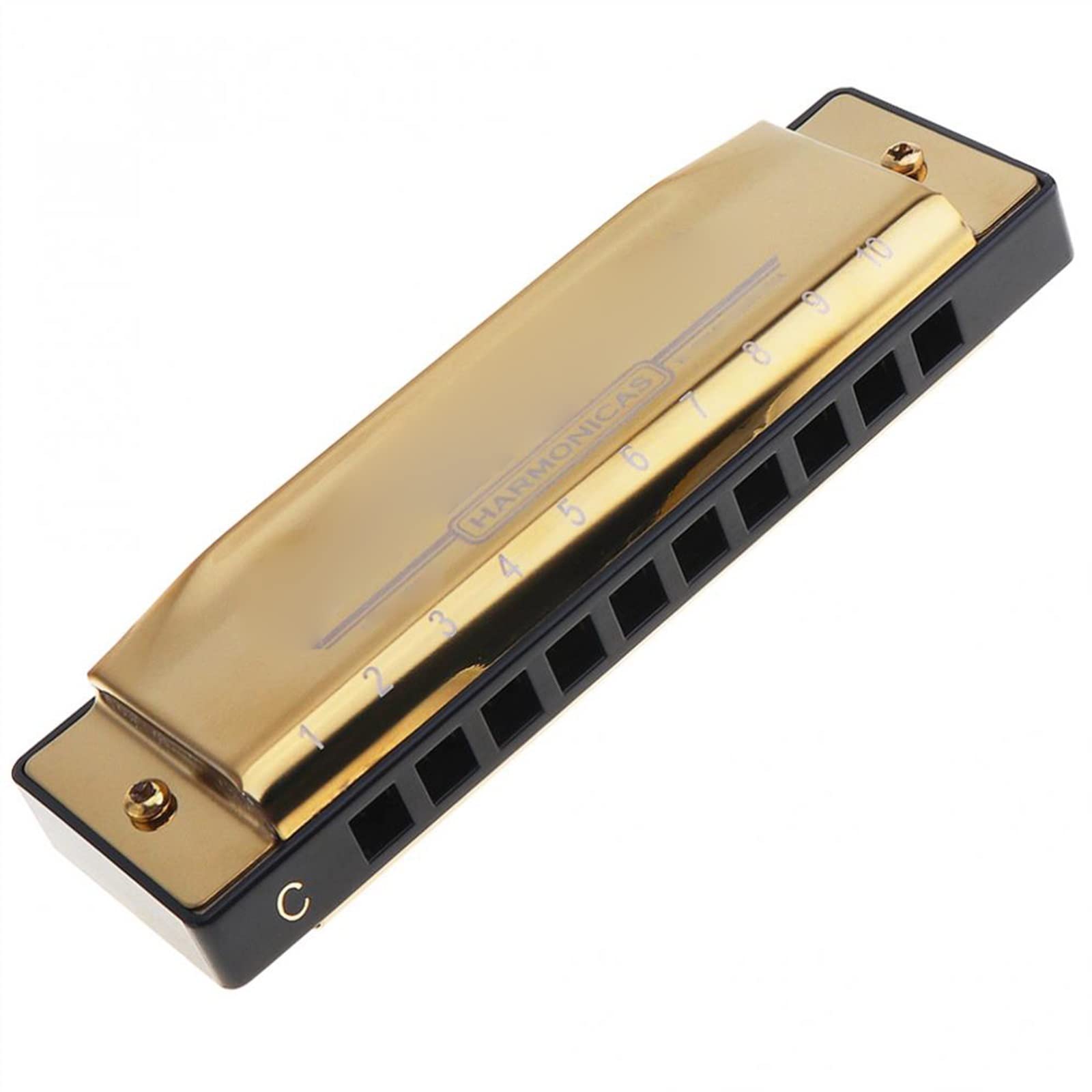 Armonica A Bocca Professionale Armonica A Bocca Armonica Diatonica in Oro A 10 Fori Chiave di Strumento Musicale Ad Ancia in Acciaio Inossidabile per Principianti