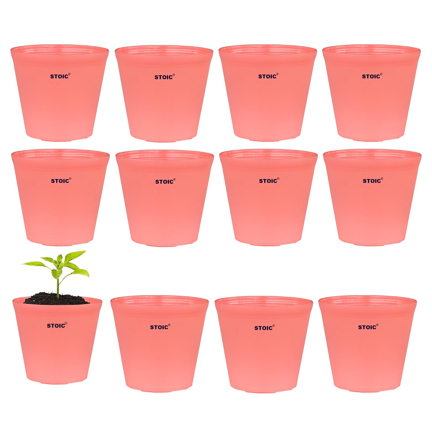 STOIC Nursery Flower Pot Gamla Plant Pots Suitable Planters, Terrace, Garden Etc | Indoor & Outdoor Gardening 4-inch Plastic (Pack of 12) Peach (B0BY9GCXPR) Amazon Price History, Amazon Price Tracker