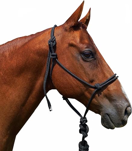 Vista 7 de Saddlesworld Cabestro de entrenamiento de cuerda para caballos con cuerda Azul,Negro -,Marrón,Verde claro,Rojo