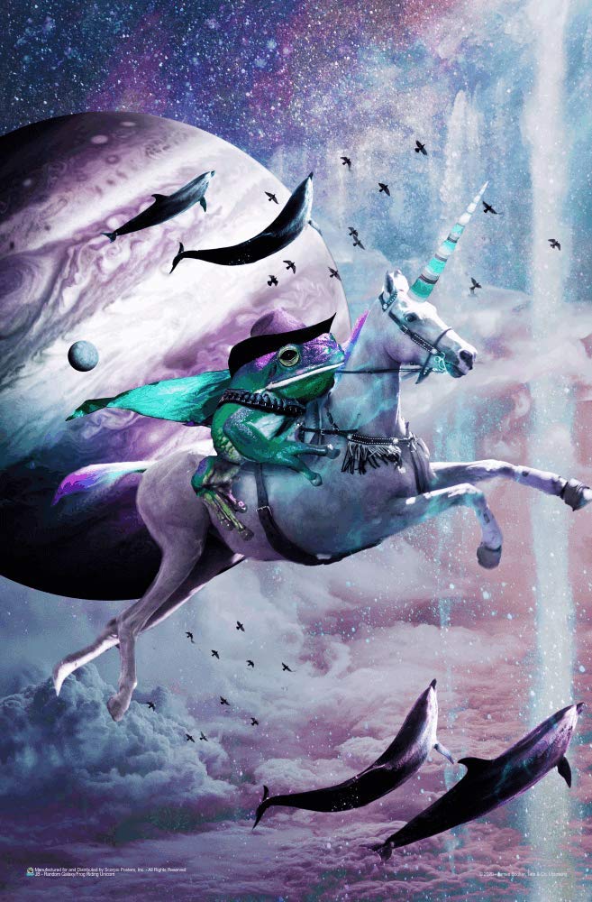 Amazon.com: Scorpio Posters Frog Riding Unicorn - by James Booker
