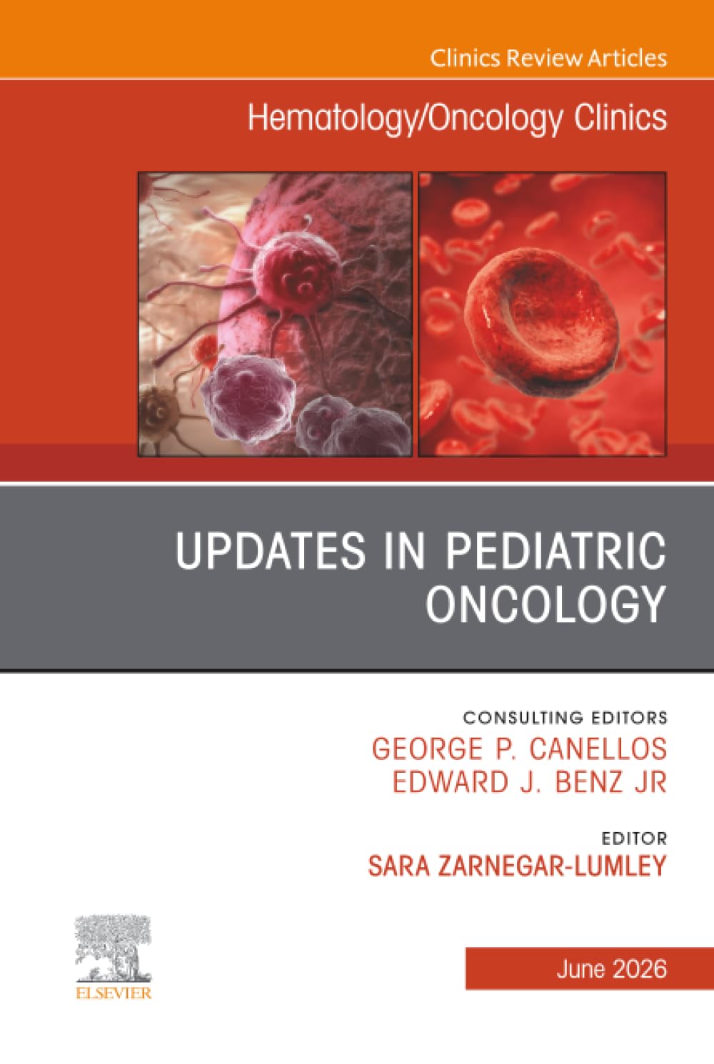 Updates in Pediatric Oncology, An Issue of Hematology/Oncology Clinics of North America: Volume 40-3 (The Clinics: Internal Medicine, Volume 40-3)