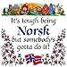 Essence of Europe Gifts E.H.G Kitchen Wall Plaques: Tough Being Norsk..