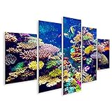 islandburner Tableau sur toile Récif Corail Poissons Tropicaux Lumière Du Soleil Aquarium De Singapour Cadre Affiche Poster Murale Tableaux