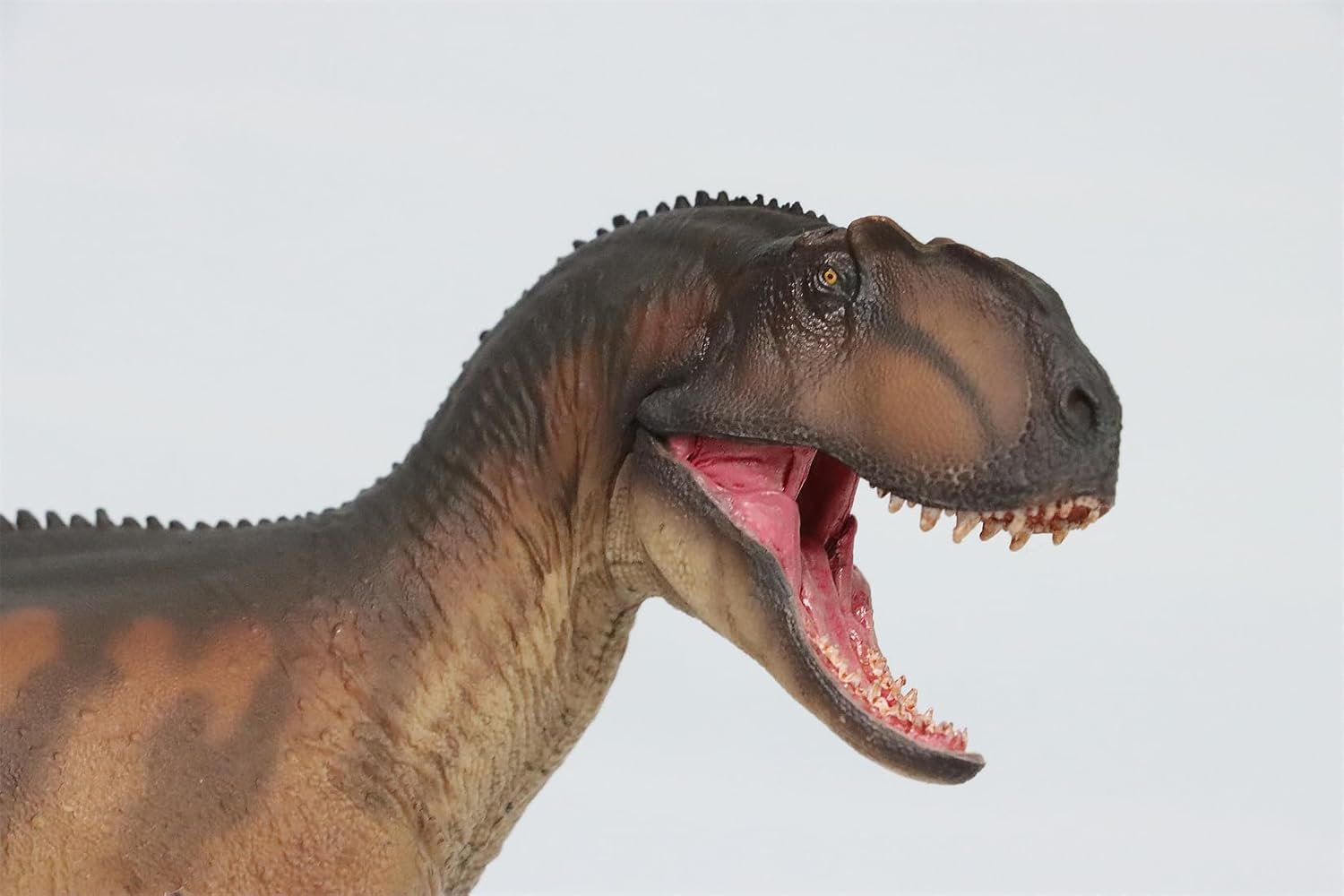 76 Yangchuanosaurus Magnus Dapeng Model Allosauroidea PVC Animal Figure Dinosaur Decor Gift