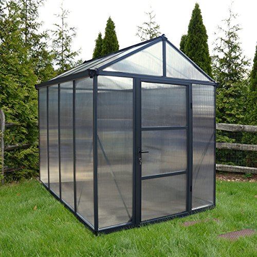 Gärtner Pötschke Palram Glory Greenhouse 6 x 8 Inches 244.5 x 195.5 x 268.5 cm Anthracite