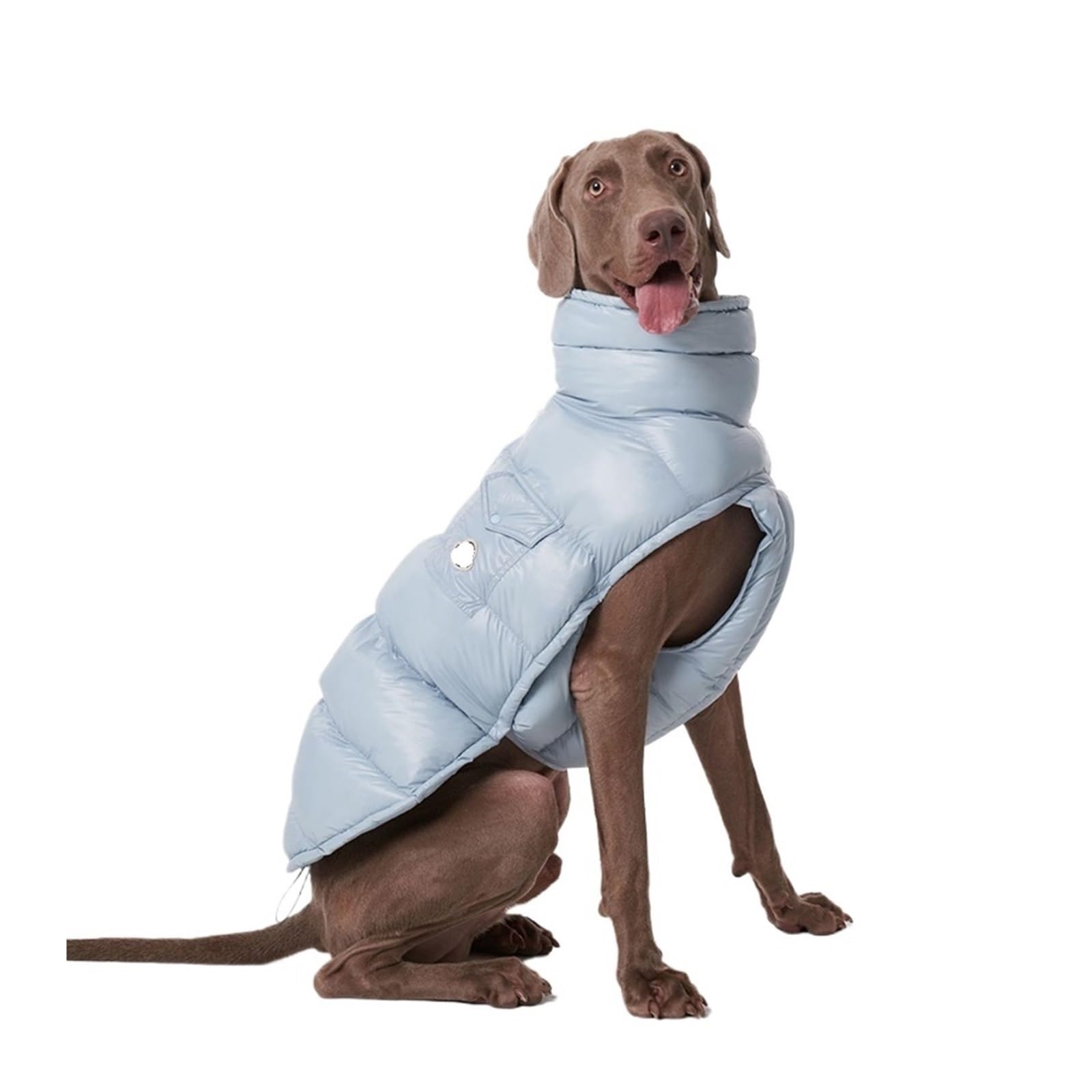 Cappottino invernale per cani, antivento, in piumino ispessito, con fodera in pile, per bulldog francese e tutte le razze (blu, 5)