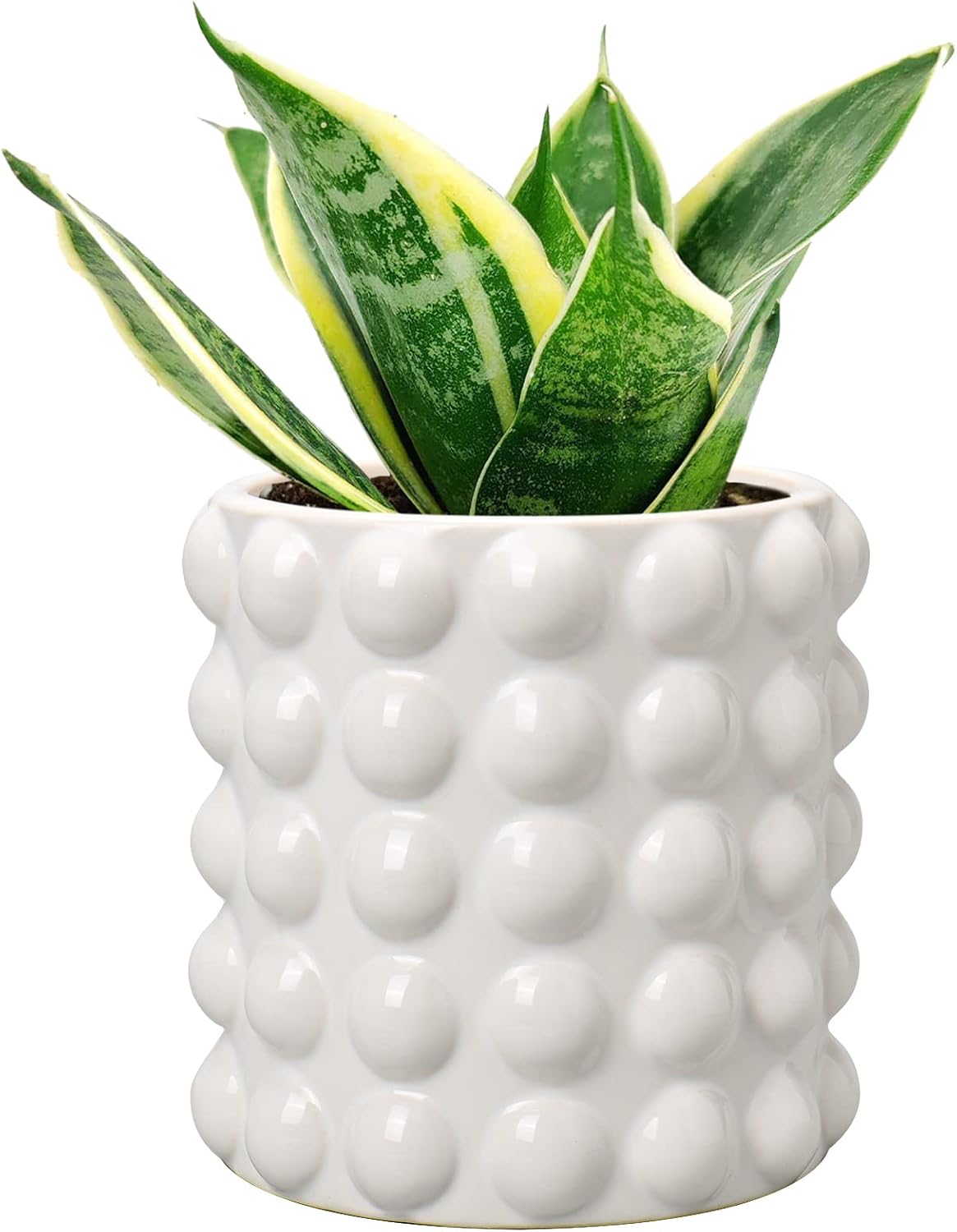 DILATATA 6 Inch Ceramic Planter Pot for Indoor Plants with Drainage Hole Bubble Flower Planter Hobnail Plant Pot Garden Planter White Succulent Plant Pot Utensil Holder