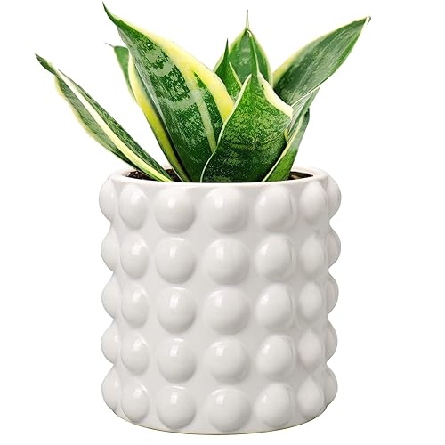 DILATATA 6 Inch Ceramic Planter Pot for Indoor Plants with