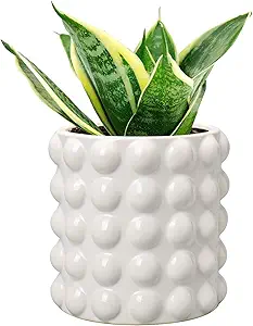 DILATATA 6 Inch Ceramic Planter Pot for Indoor Plants with Drainage Hole Bubble Flower Planter Hobnail Plant Pot Garden Planter White Succulent Plant Pot Utensil Holder