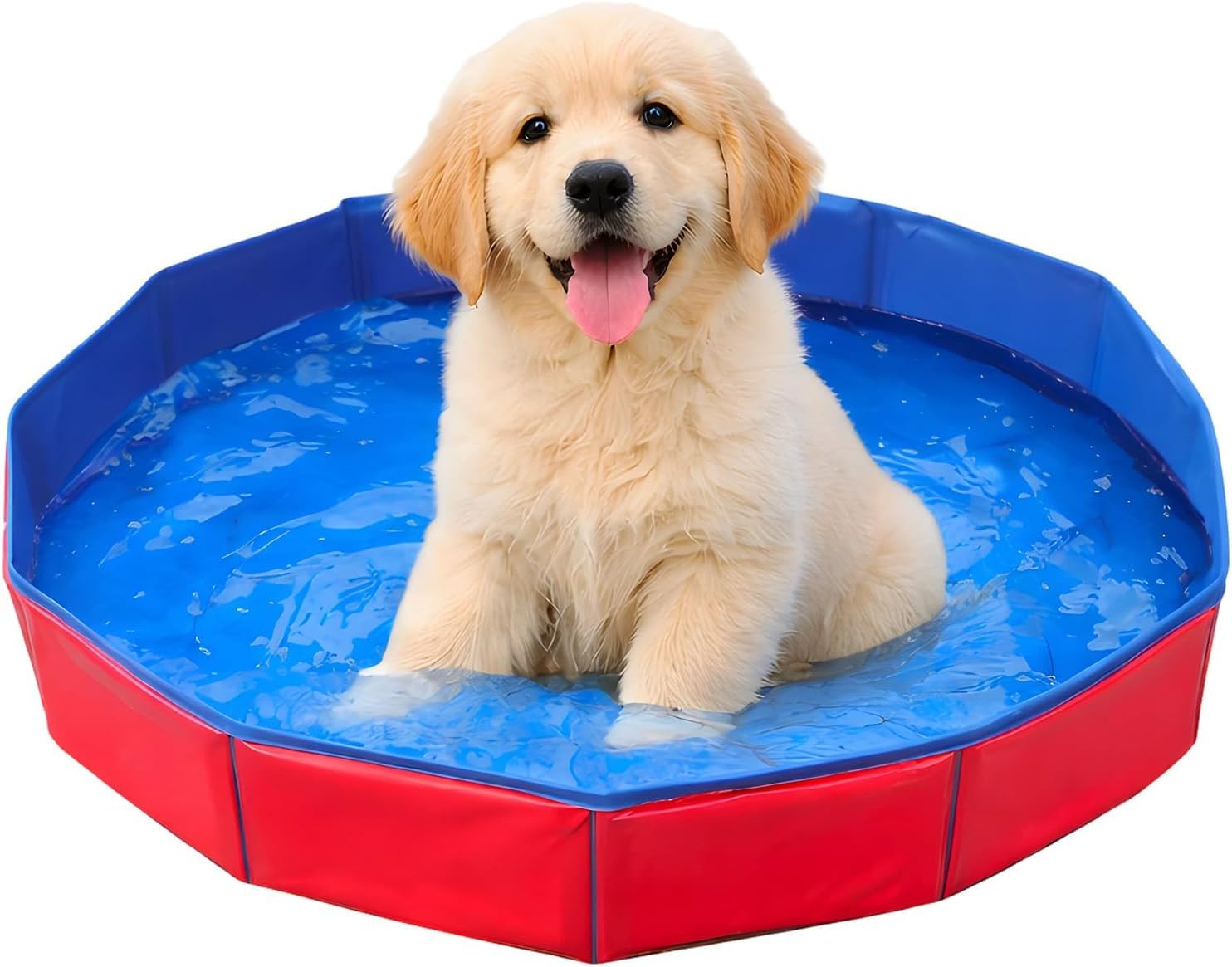 Dog Paddling Pool, Foldable Dog Pool for Small Dogs, Portable Pet Swimming Pool, Compact 50 x 8 Cm Design for Outdoor Water Activities