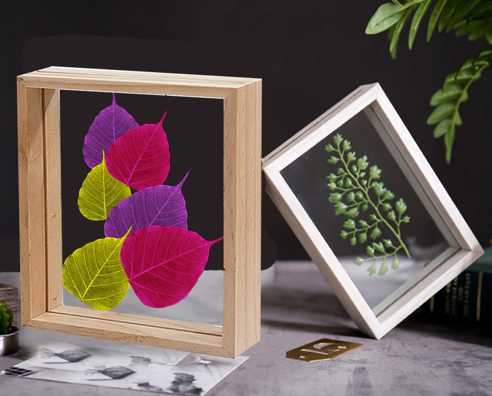 Image of Desi Rang Wooden Frame for Wall Decor Table top Hanging Any Green or dry plant Leaf Picture Photo DIY Gift Home decoration (Natural,Sqr,12x12 inch,with random peepal colored leaf)