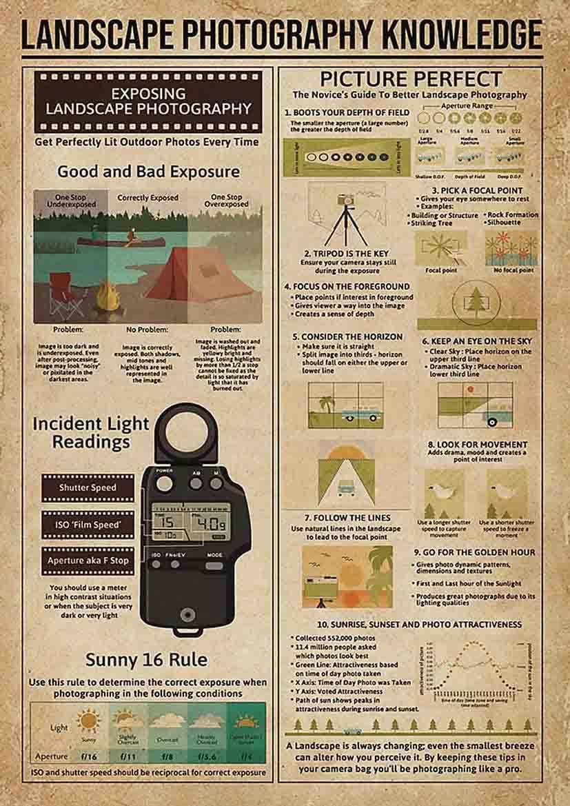 peiyeety Landscape Photography Knowledge Metal Tin Signs Picture Perfect Information Retro Poster Popular Science Educational Charts Wall Plaques Decor For Home Classroom Room Office 8x12 Inch