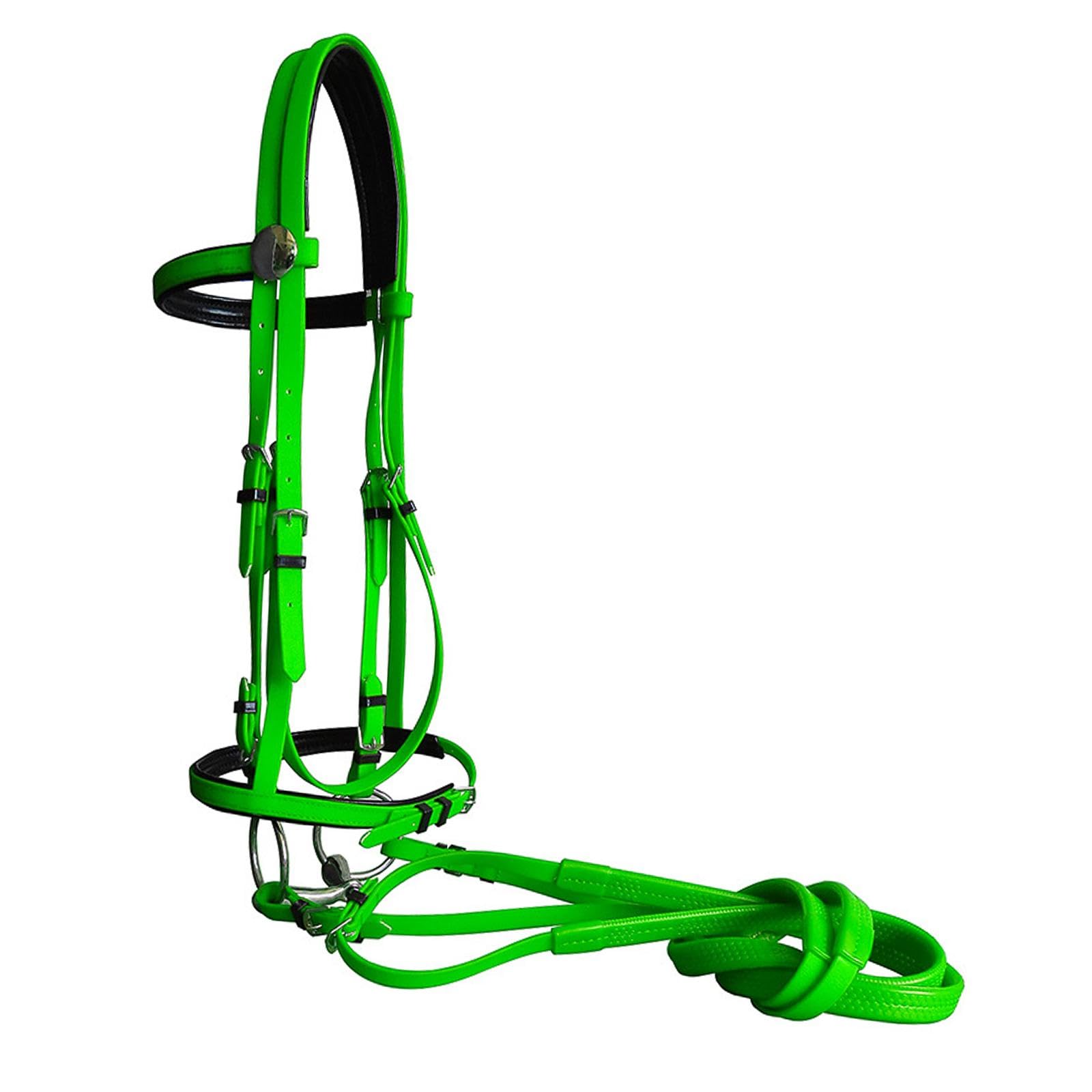 COSMO LADY Horse Bridle with Rein Durable Side Pull Bridle Reins Halter Equestrian Gear M Size Green