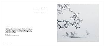 世界のスティルライフフォトグラファー　2冊セット Amazon.co.jp: 世界のスティルライフフォトグラファーVOL.2
