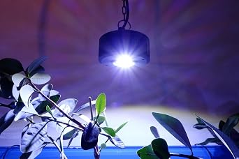 Kessil A360X Refugium LED Light