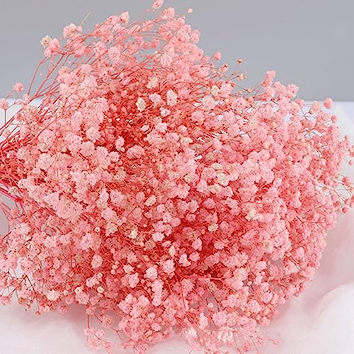 Ramo de Flores Secas Gypsophila 17.2 Pulgadas miniatura 1