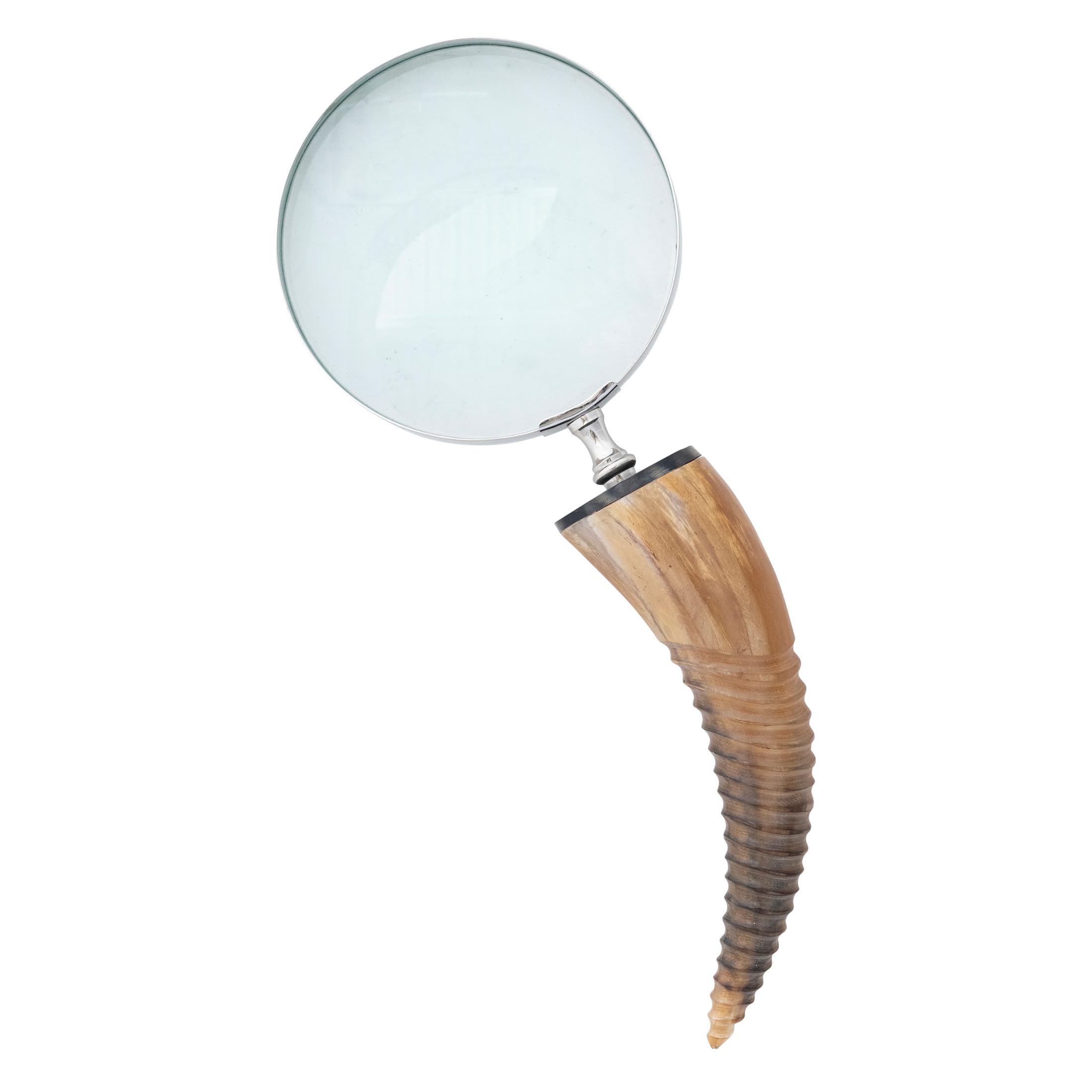 Creative Co-Op Round Stainless Steel Magnifying Glass with Natural Horn Handle, Nickel Finish