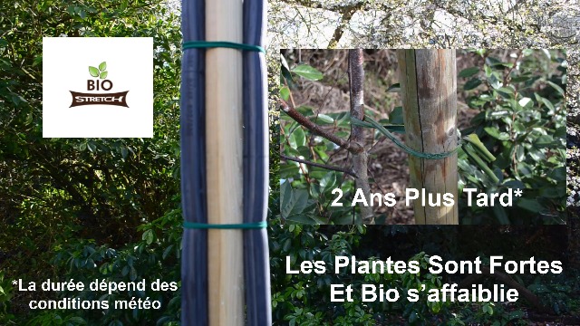 Dabinzhijia 30M Fil De Jardin Vert Souple 3,5mm - Attache Plantes Tomates Et Grimpantes