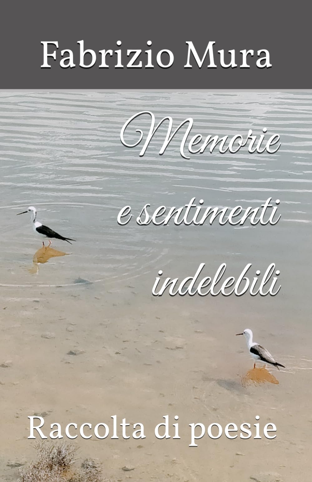 Memorie e sentimenti indelebili: Raccolta di poesie