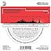 D'Addario EJ17-10P Phosphor Bronze Medium Acoustic Strings (10-Pack)