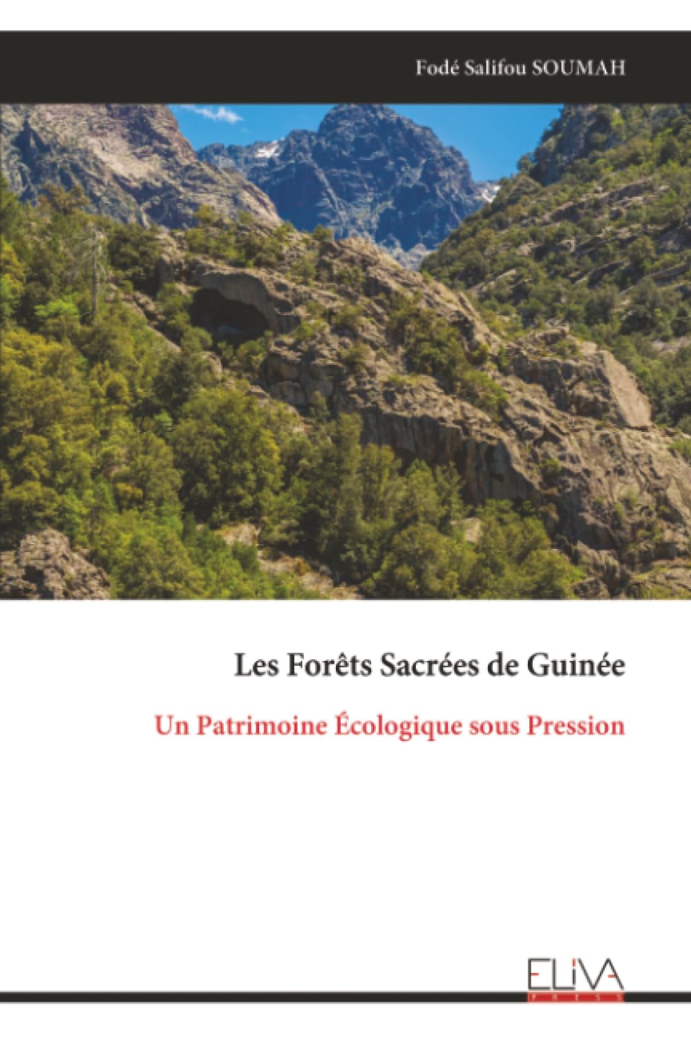 Les Forêts Sacrées de Guinée: Un Patrimoine Écologique sous Pression