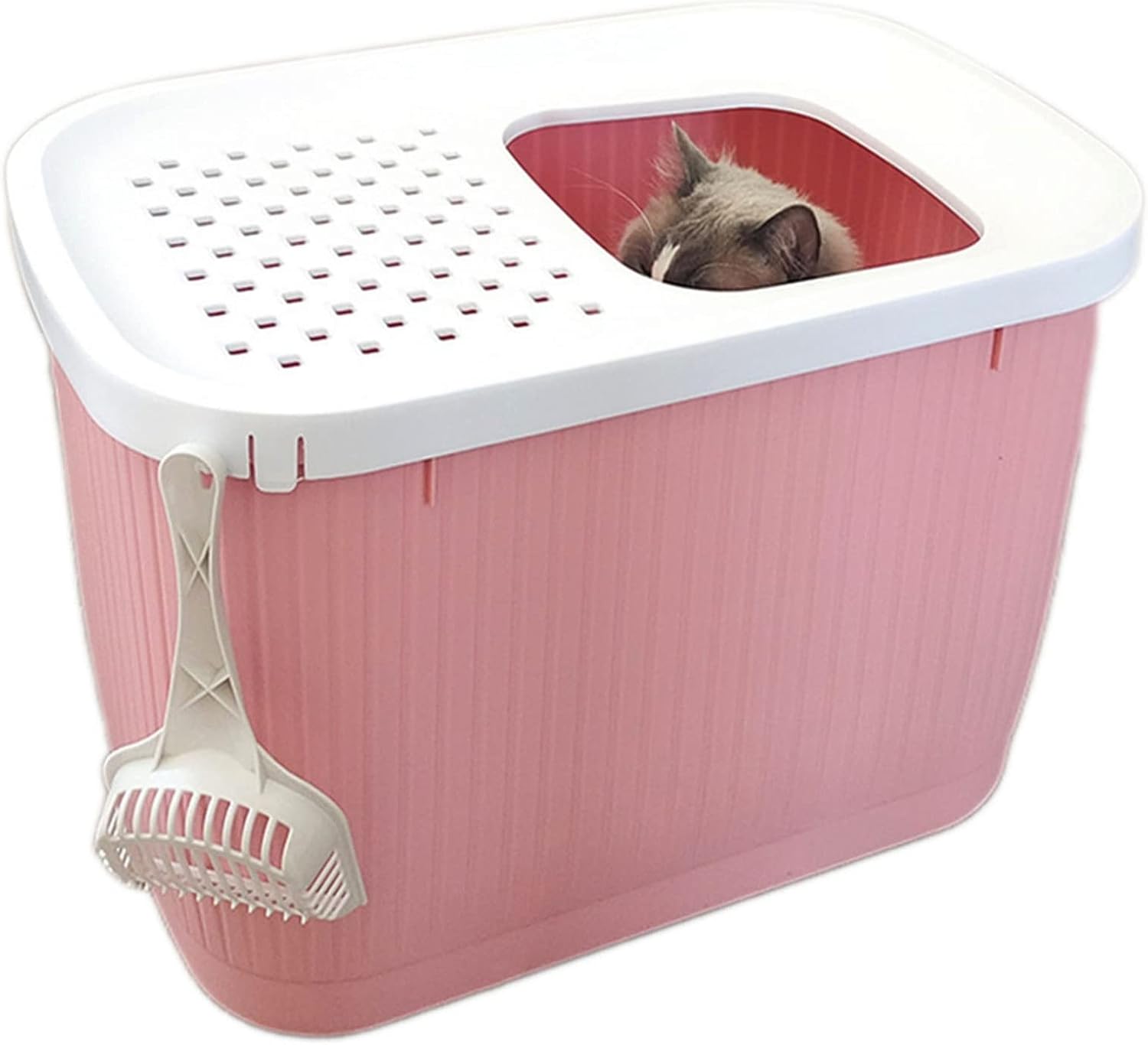 ジャンプコミックス完結済 89冊 初版帯付きセット 特典多数