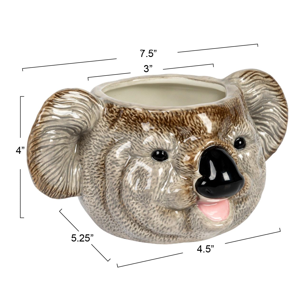 Amazon.com: Creative Co-Op 7.75 Inches Round Ceramic Koala Head