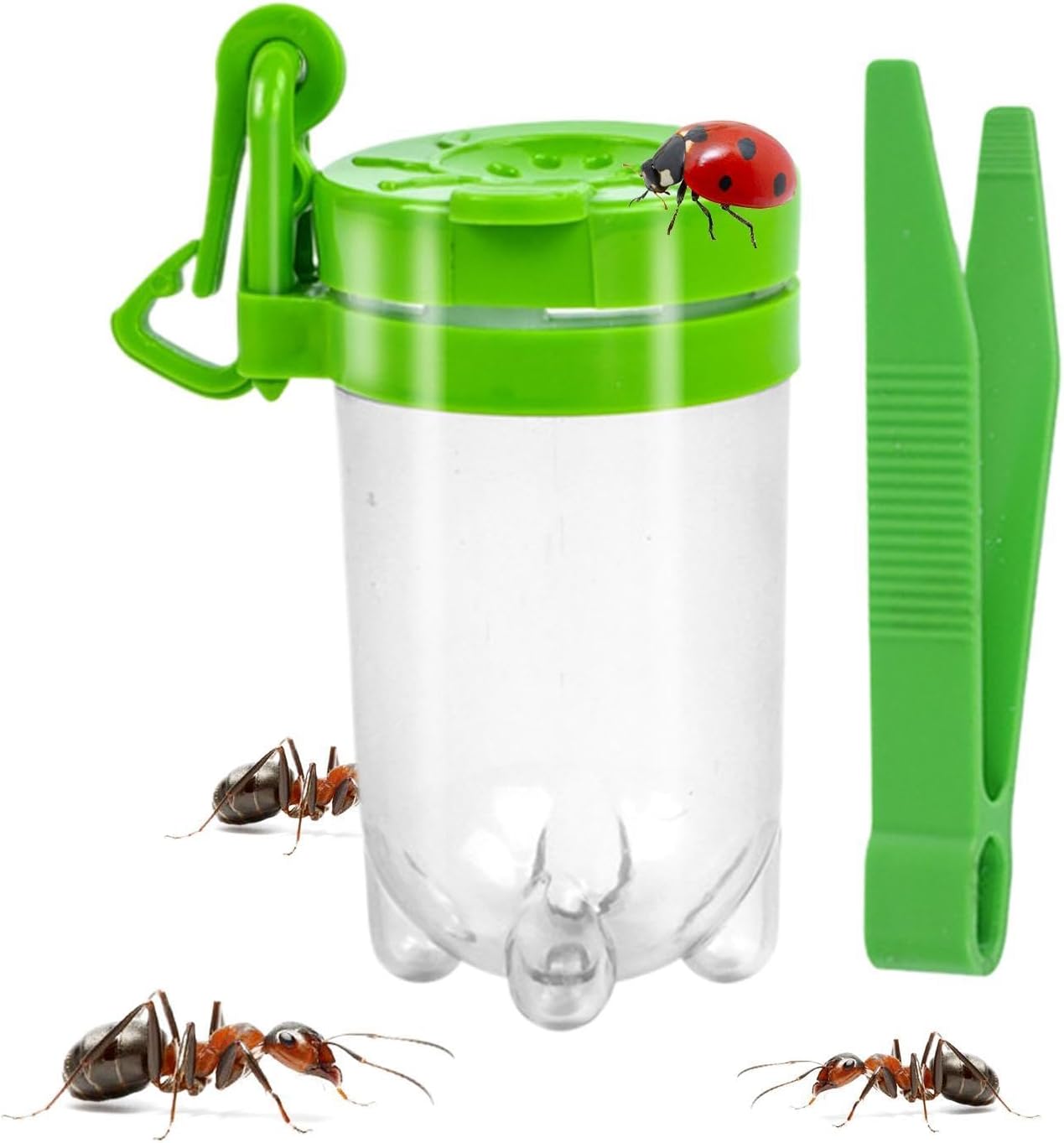 Fly Boxes for Kids with Tweezer Clear Portable Observation Container